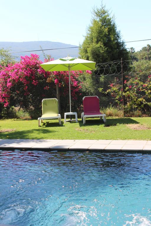 Nuwerus Lodge Paarl Extérieur photo